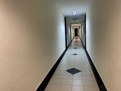 Parklane Shopping Mall (D7), Office #545150621